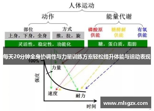 每天20分钟全身协调性与力量训练方案轻松提升体能与运动表现
