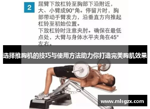 选择推胸机的技巧与使用方法助力你打造完美胸肌效果